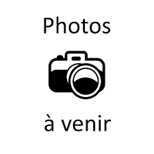 product-item